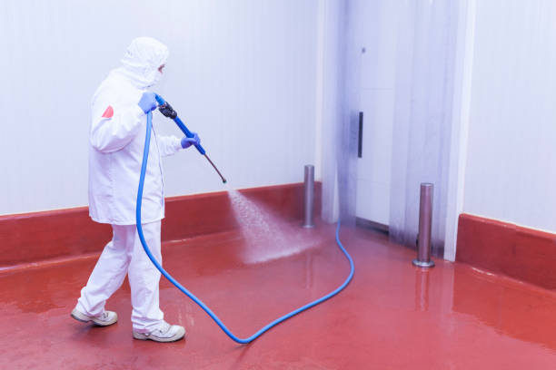 Best Roof Washing  in Newburg, WI